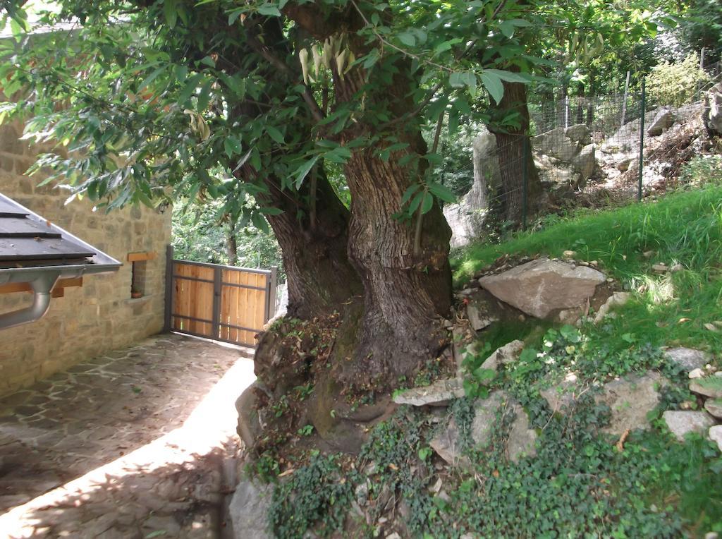 Agriturismo Ai Ronchi ソーリコ エクステリア 写真